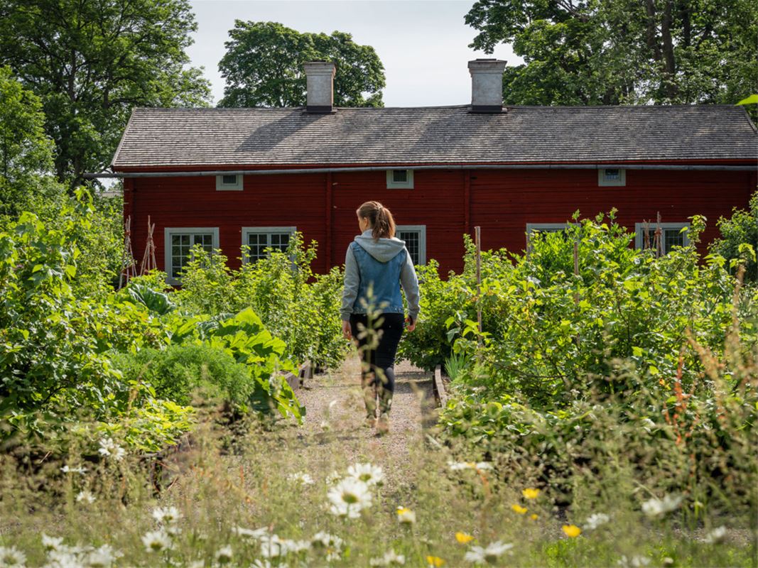 Kvinna går i trädgård.