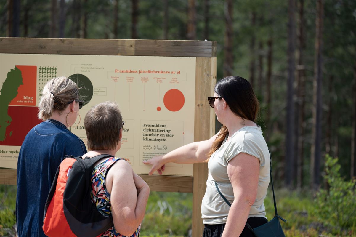 Tre besökare söker information på informationstavlorna.