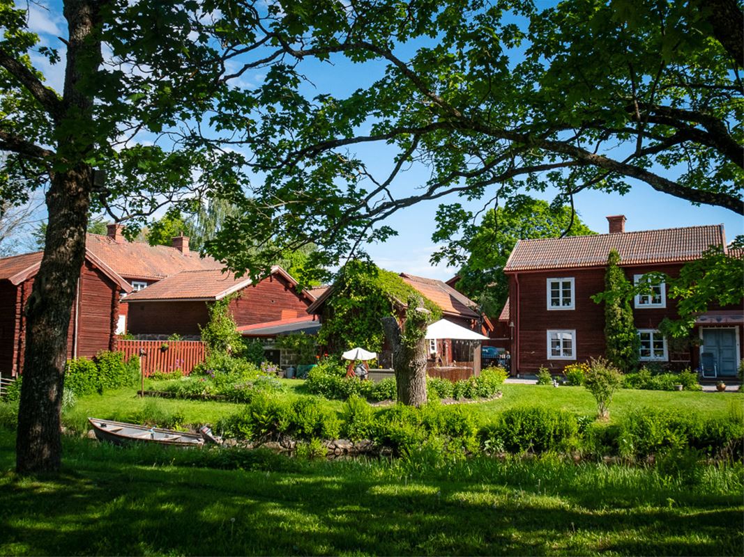 Faluröda hus i sommarlandskap.