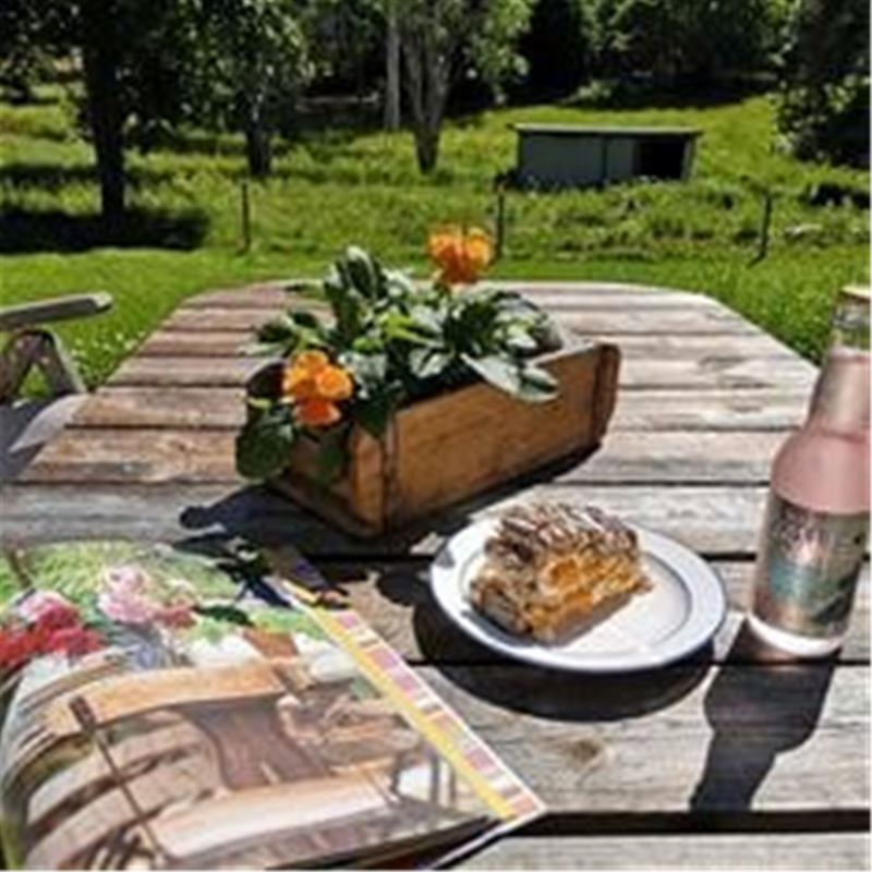 Ett träbord utomhus i en trädgård, en bakelse på ett fat, en läsk i glasflaska, blomma på bordet, inhägnad betesmark i bakgrunden.