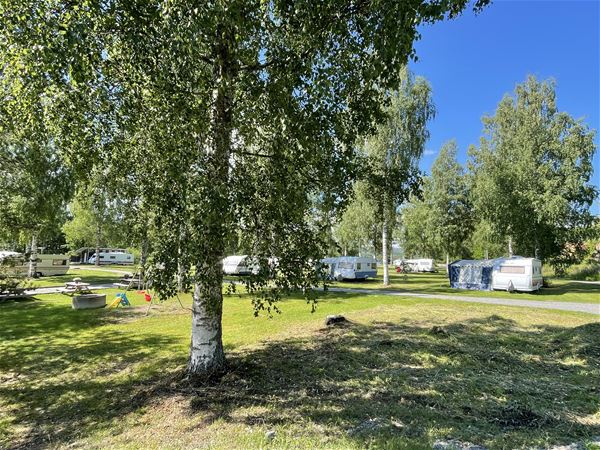 Trönö Camping Ground 