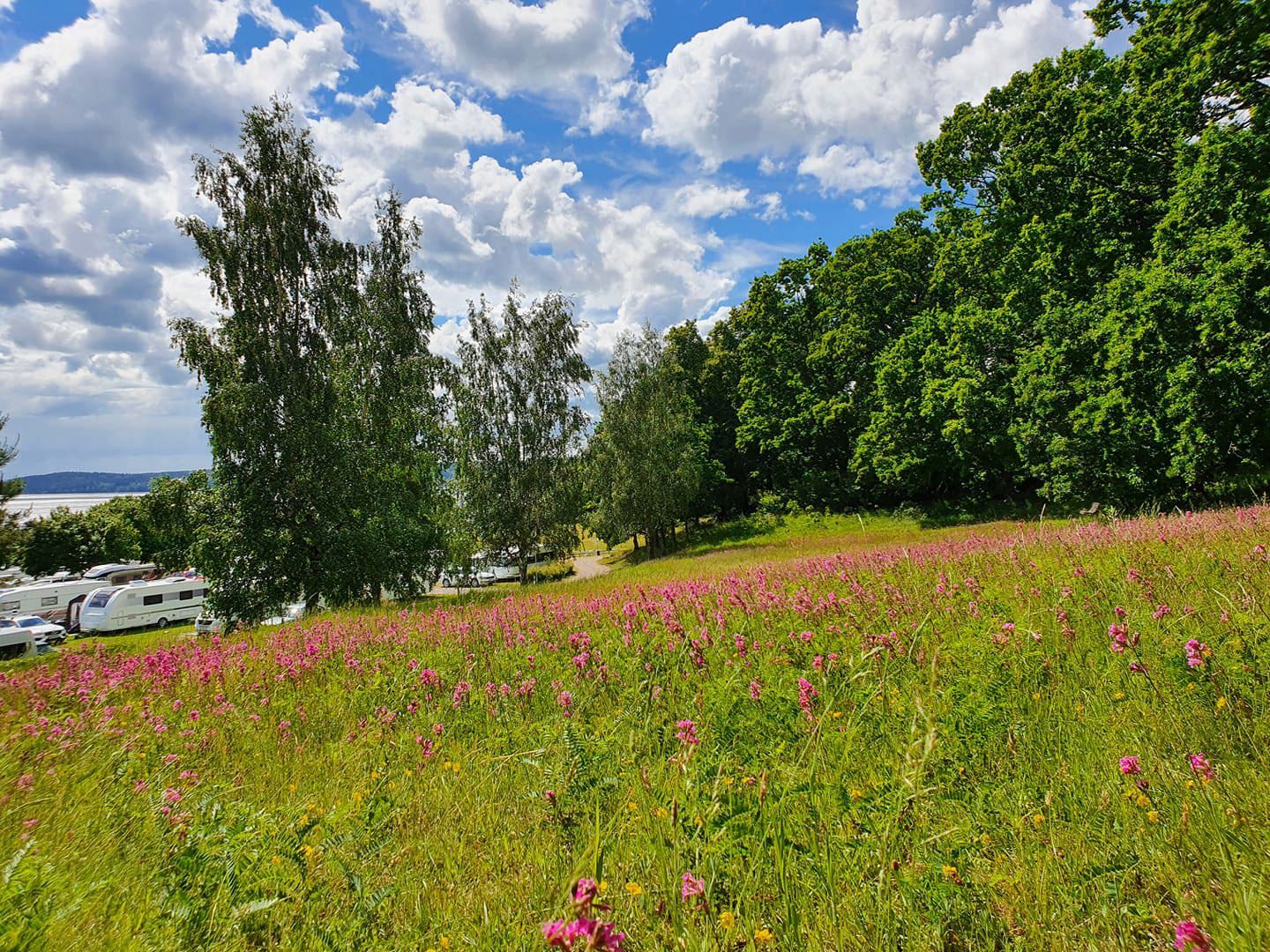 Caravan Club Sandvik Camping