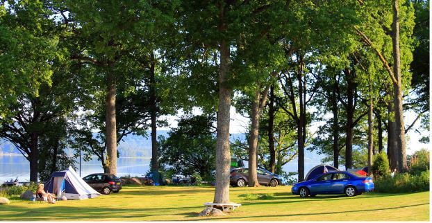 Skotteksgården Camping & Stugby 