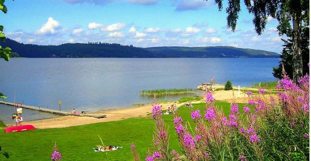 Skotteksgården Camping & Stugby 