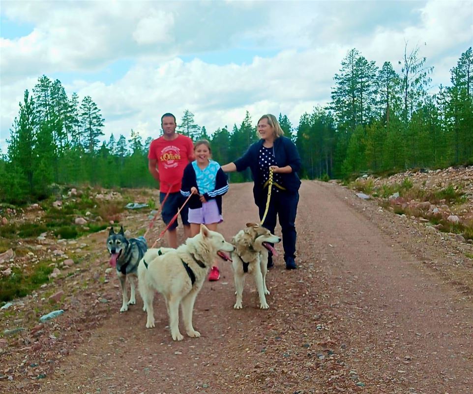 A family with leashed dogs walks on a road in the forest.