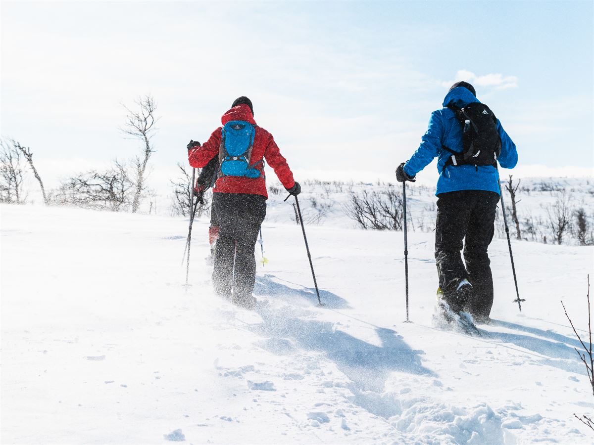 Trugeutleie - Geilo Aktiv image 1