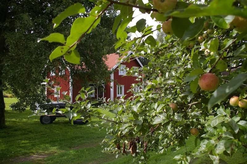 STF Musteriet i Djursdala