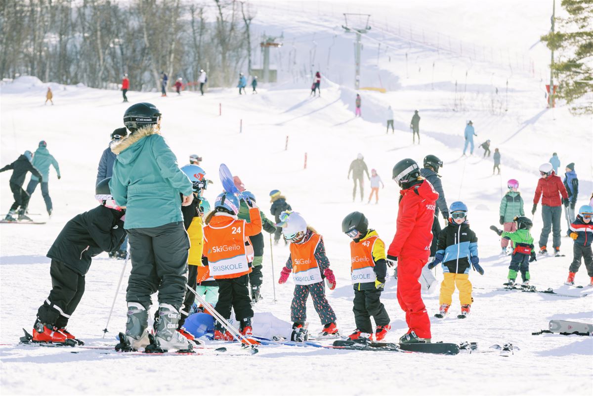 Solsikkemerket image 1