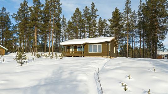 cbis:1593055-1