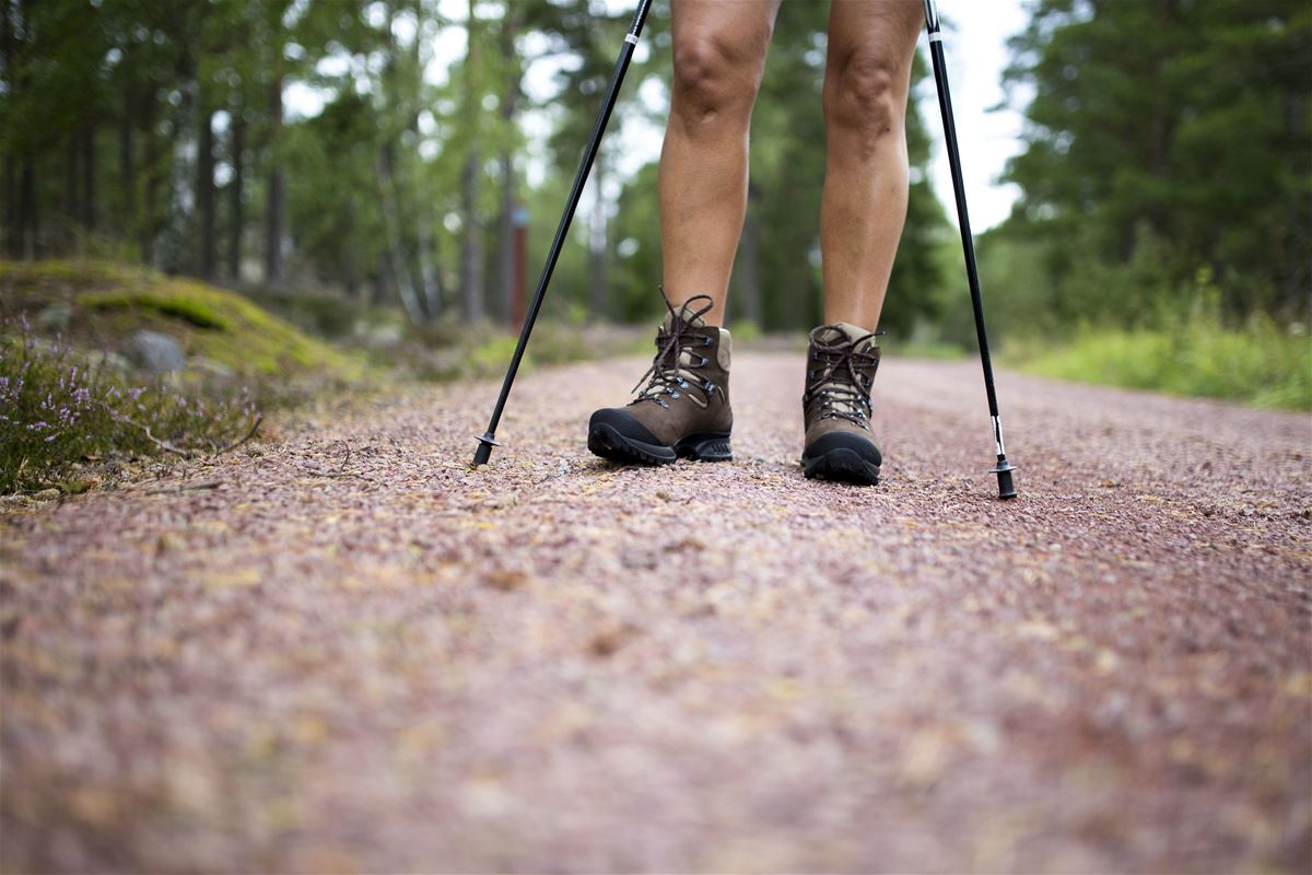 Lassas - Långnäs 1,8 km image 1