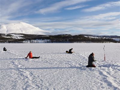 Guests ice fishing