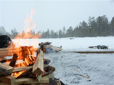 Campfire in wintertime