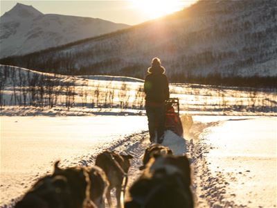 Hundesledetur om dagen