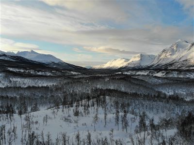 Snowcovered landscape