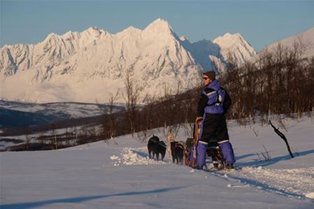 Guest on a dog sled