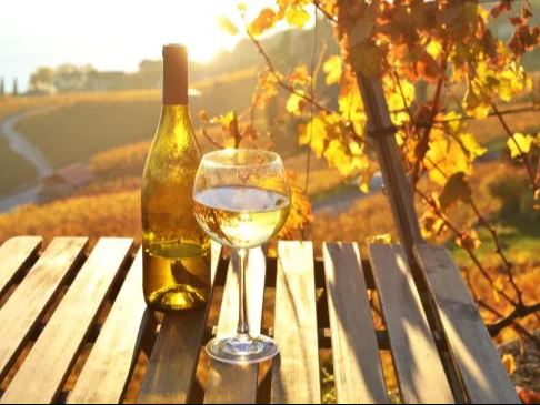 Vinsmagning: Chardonnay