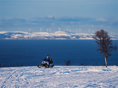 Person på snøscooter i snødekt landskap med hav, vindturbiner og et tre i bakgrunnen
