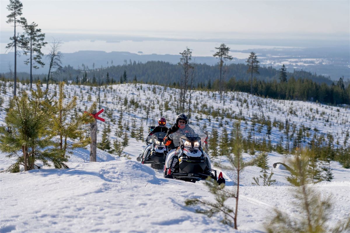 Scooters riding in terrain.