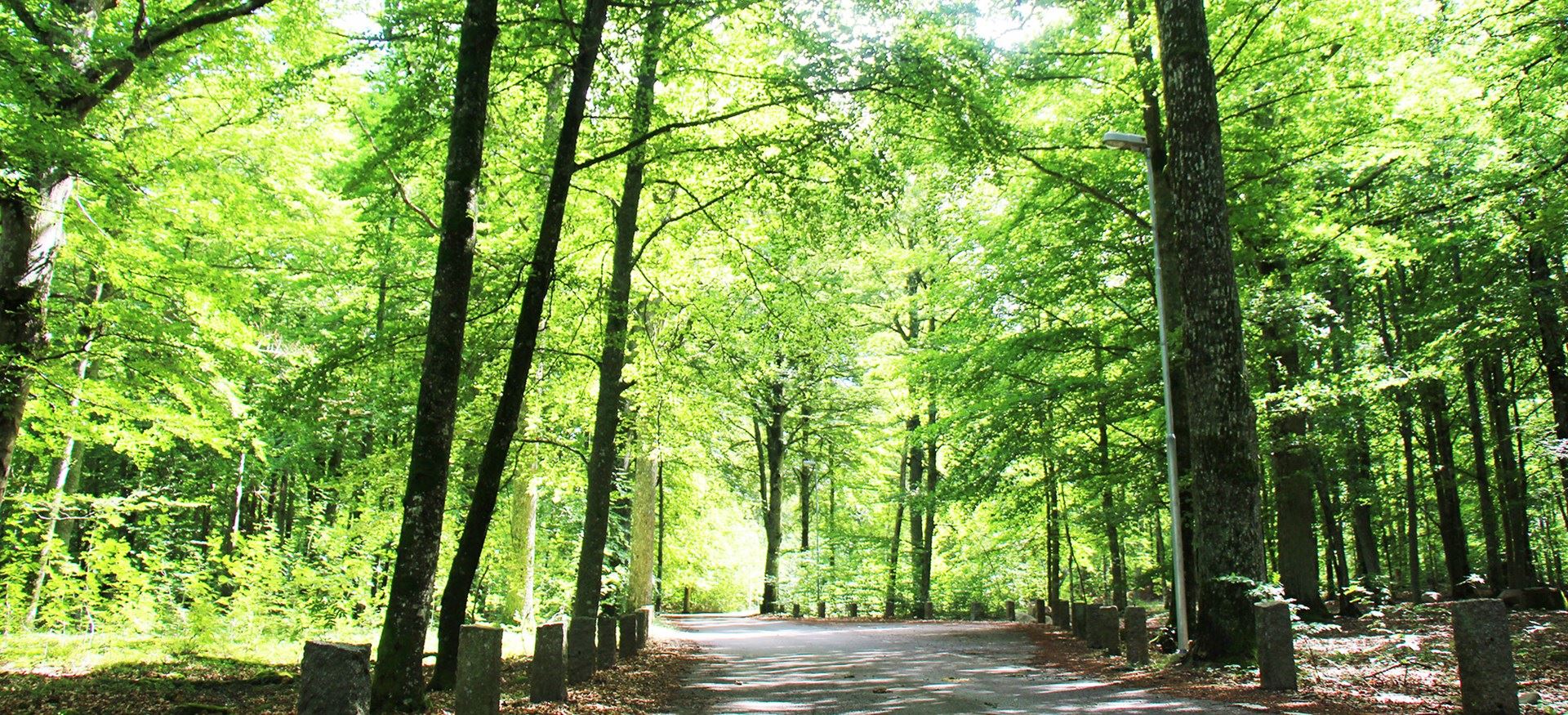 Evedals Camping Växjö 