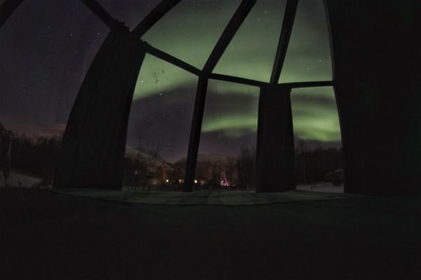 North Experience,  &copy; North Experience, Northern lights from glass iglo at North Experience 