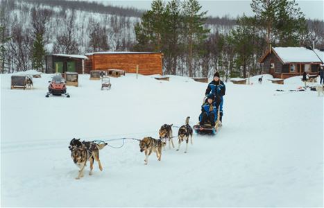 Hundesledetur i Tamokdalen nord for Tromsø
