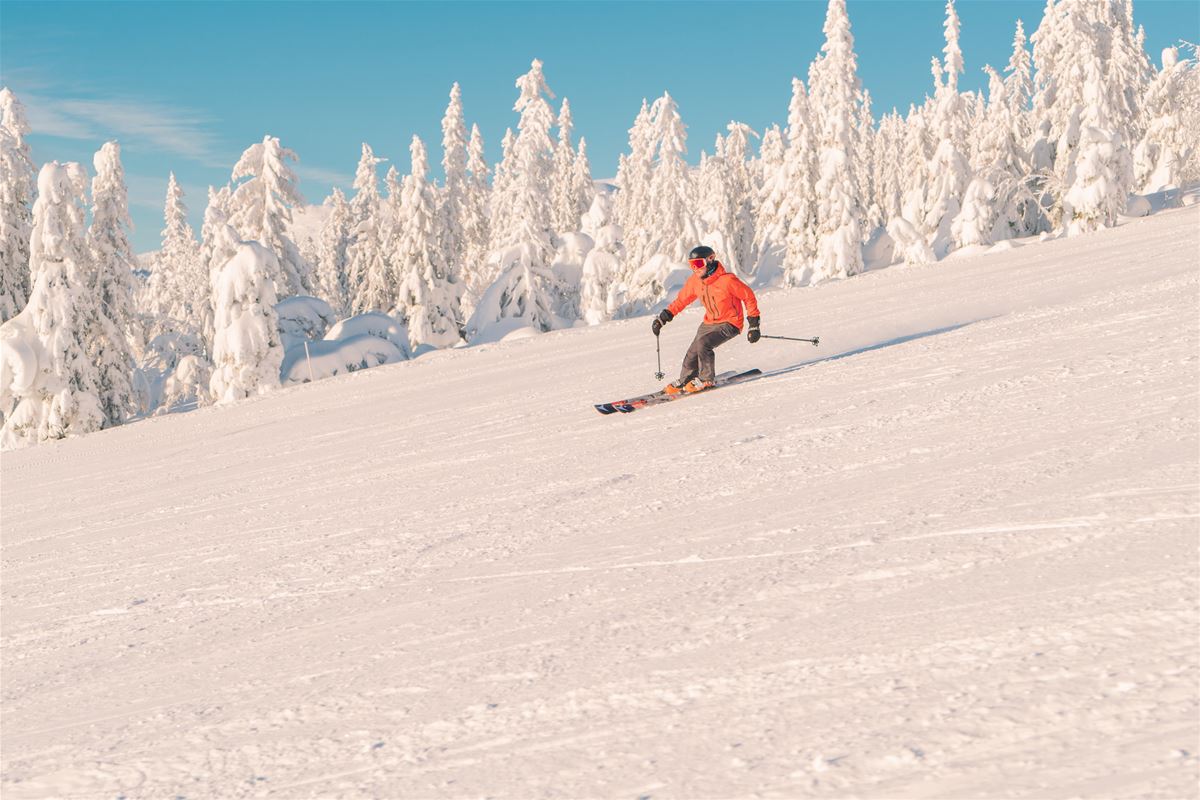 Skiweekend - 10 % rabatt image 1