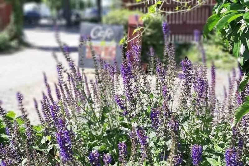 STF Mariestad Vandrarhem