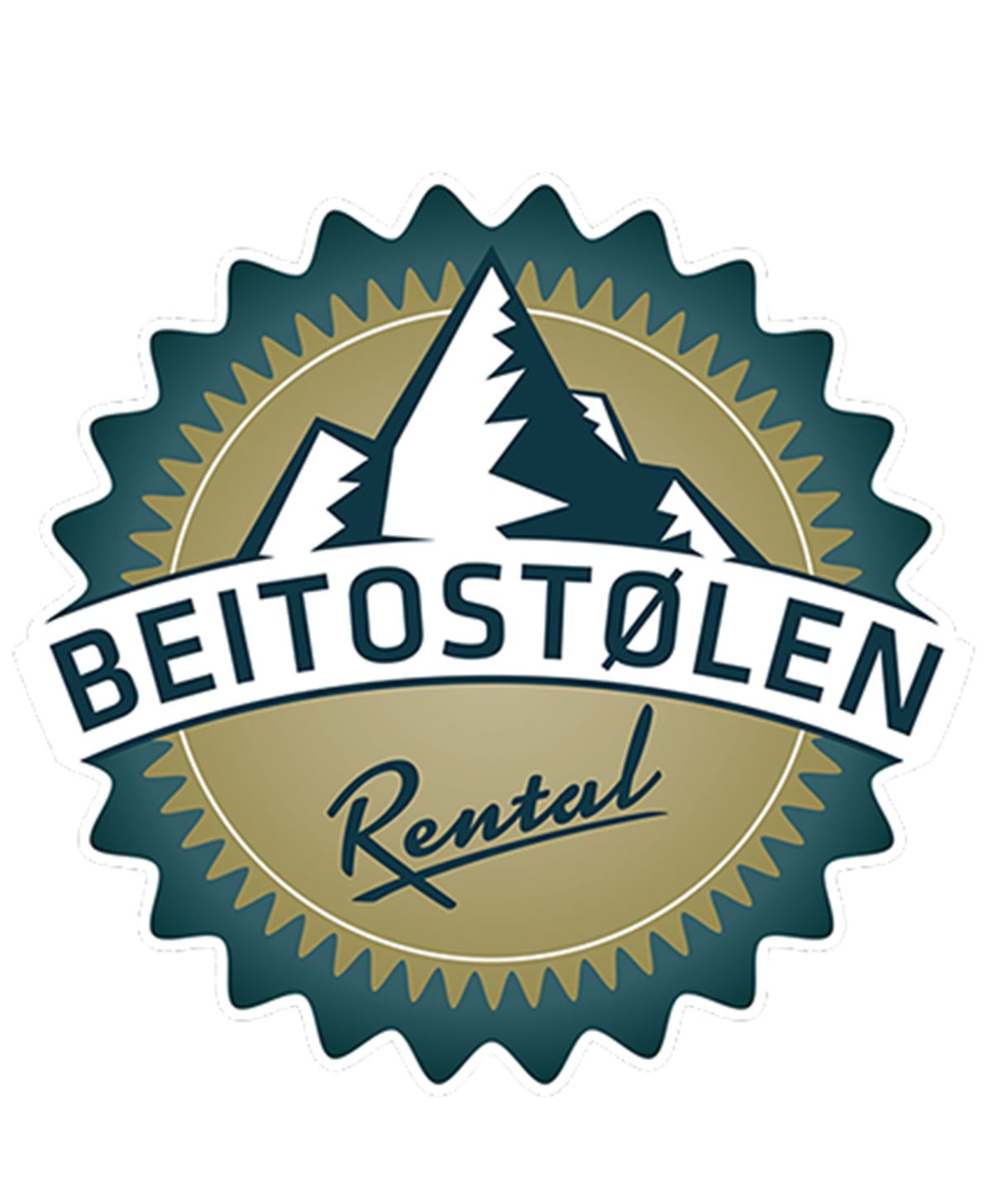 Ski rental packages image 1