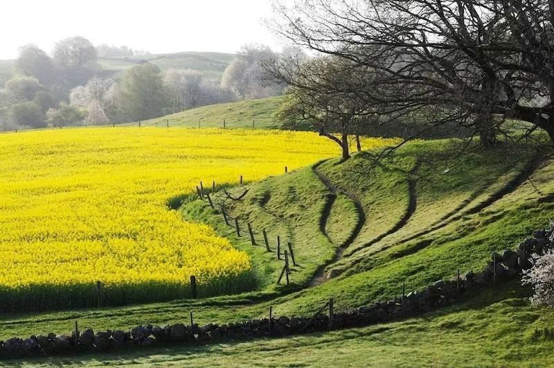 STF Baskemölla Vandrarhem