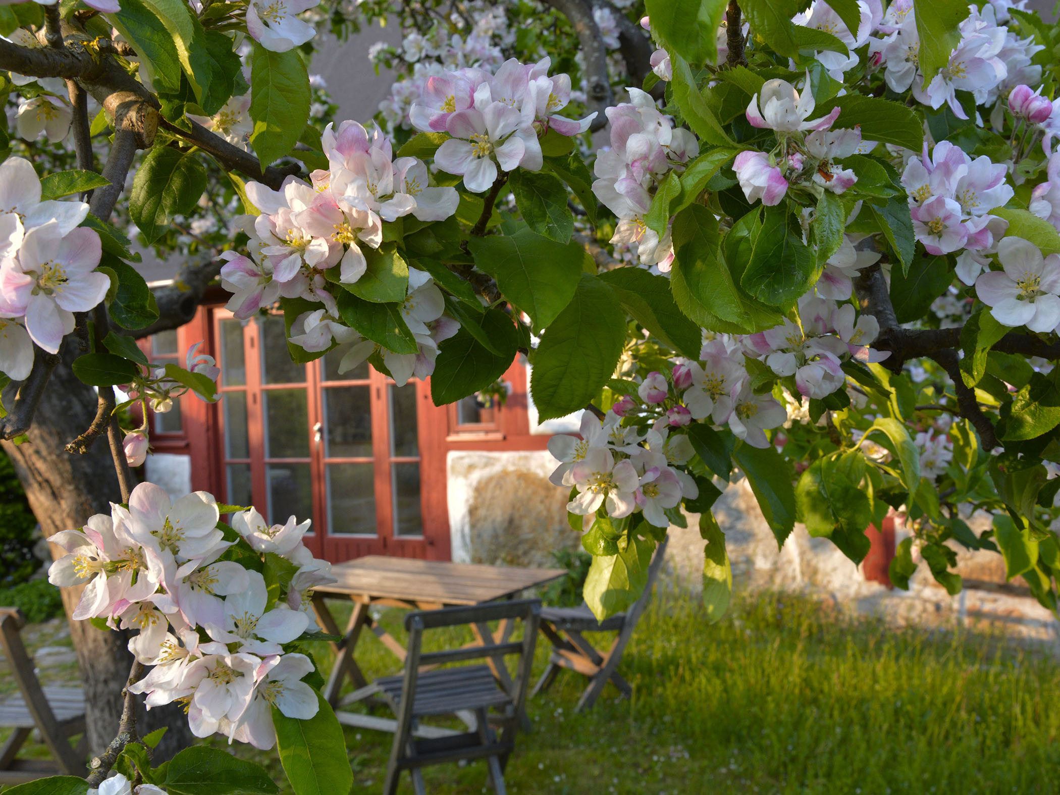 STF Brantevik Råkulle Vandrarhem