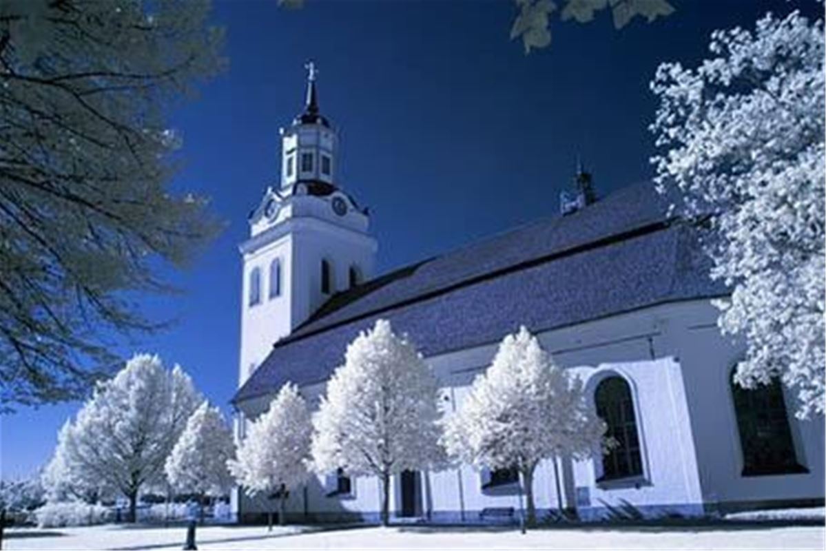 Orsa kyrka med snötäckta träd.