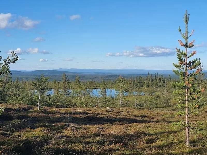 STF Fulufjällsgården