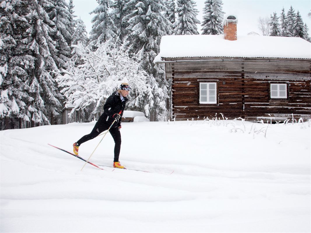 A cross country skiier in a winter landscape.