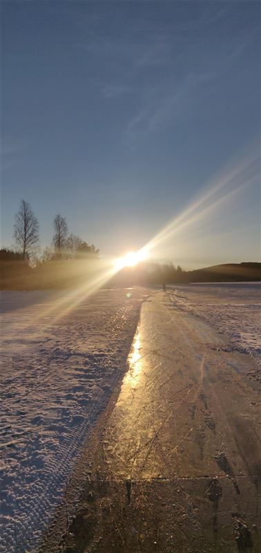 Plowed track on the ice at sunrise.