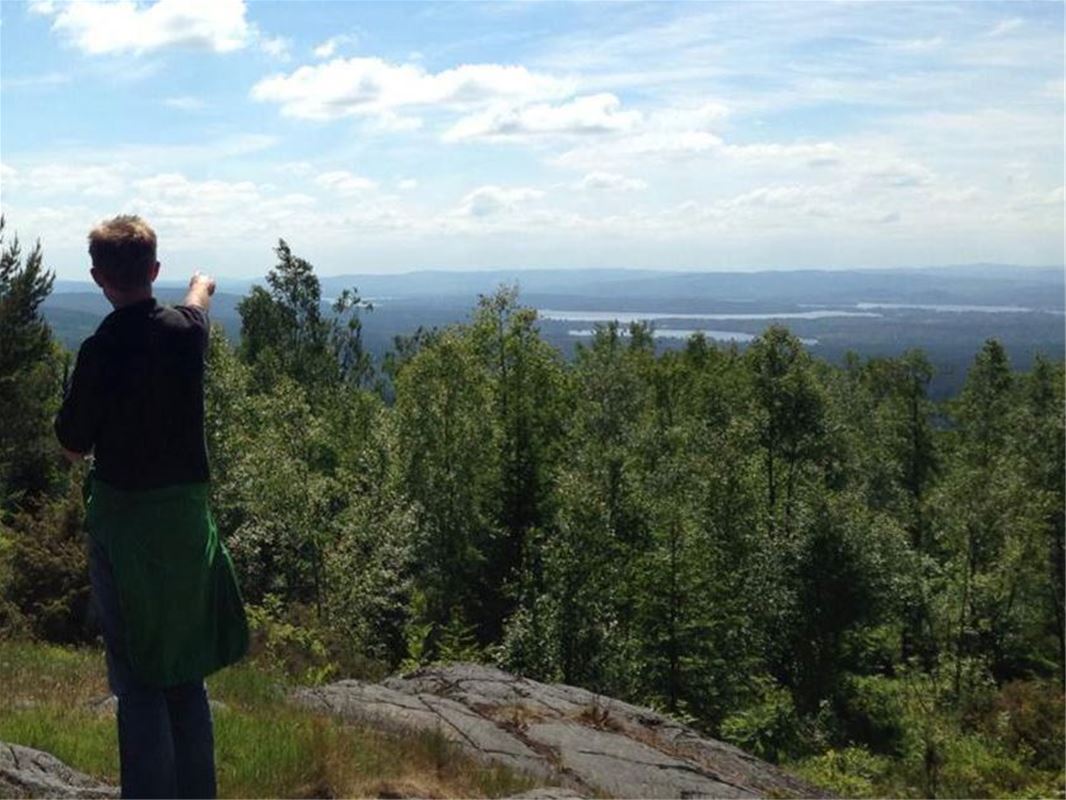 En person som står på en klippa och pekar ut mot utsikten över skogen och vattnet. 