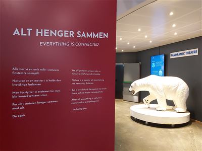 Isbjørn utstilling på Polarmuseet