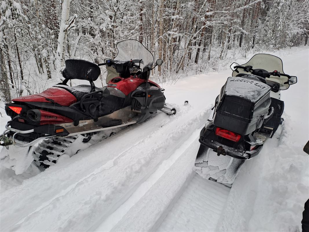 Two snowmobiles on a road.