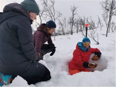 Three people searching the snow
