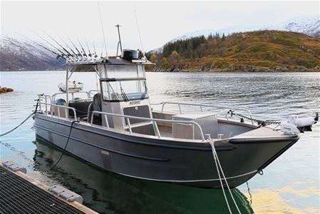 Explore the Arctic boat