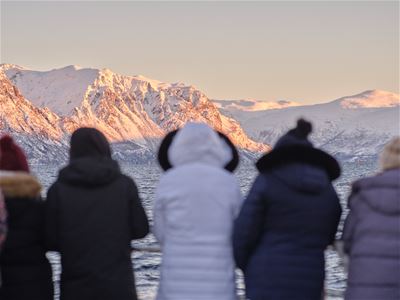 Fem personer ser på fjellene fra båt