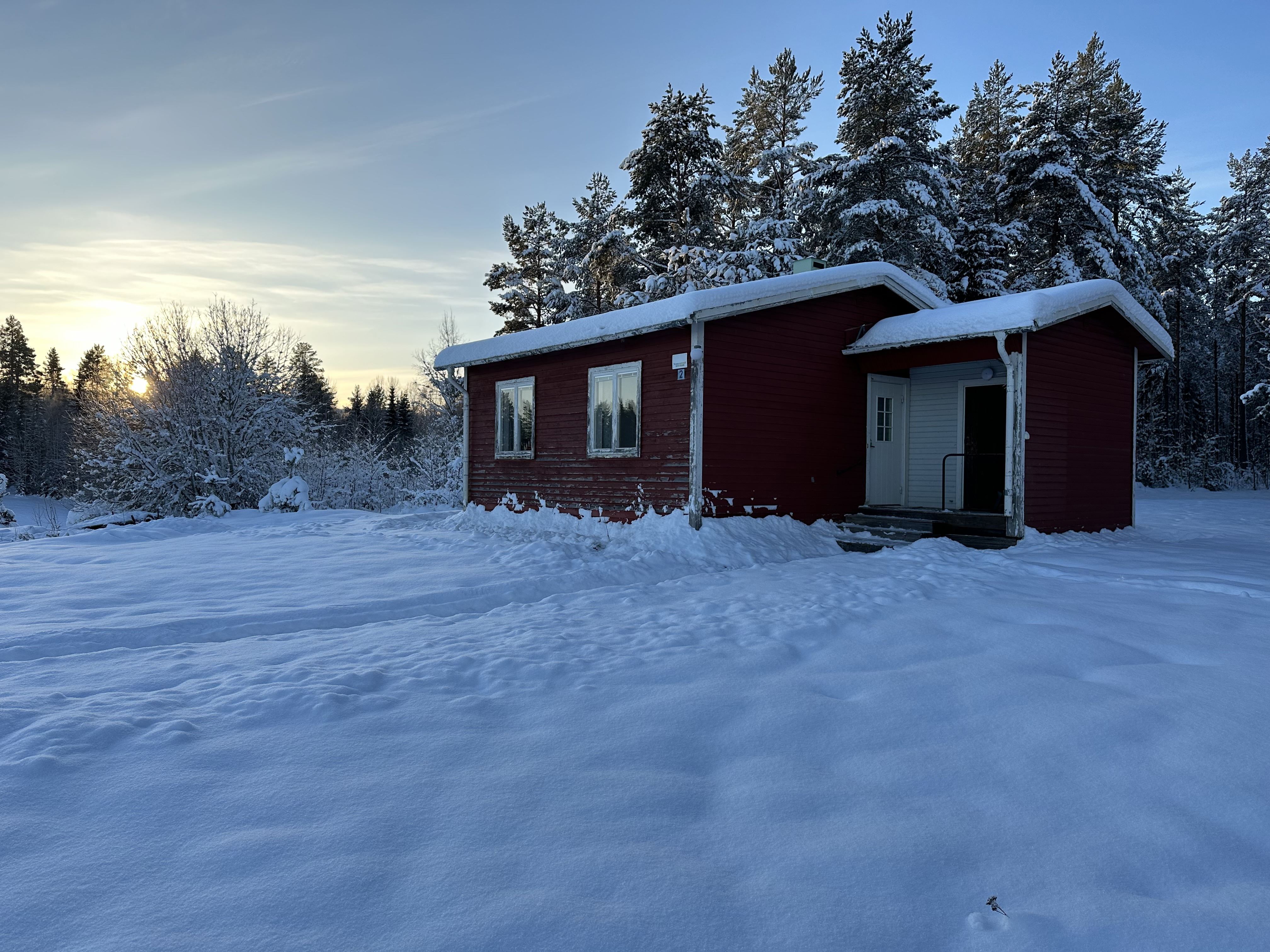 Litet hus nära skogen