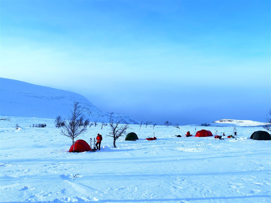 Pitched tents in a snowy landscape.