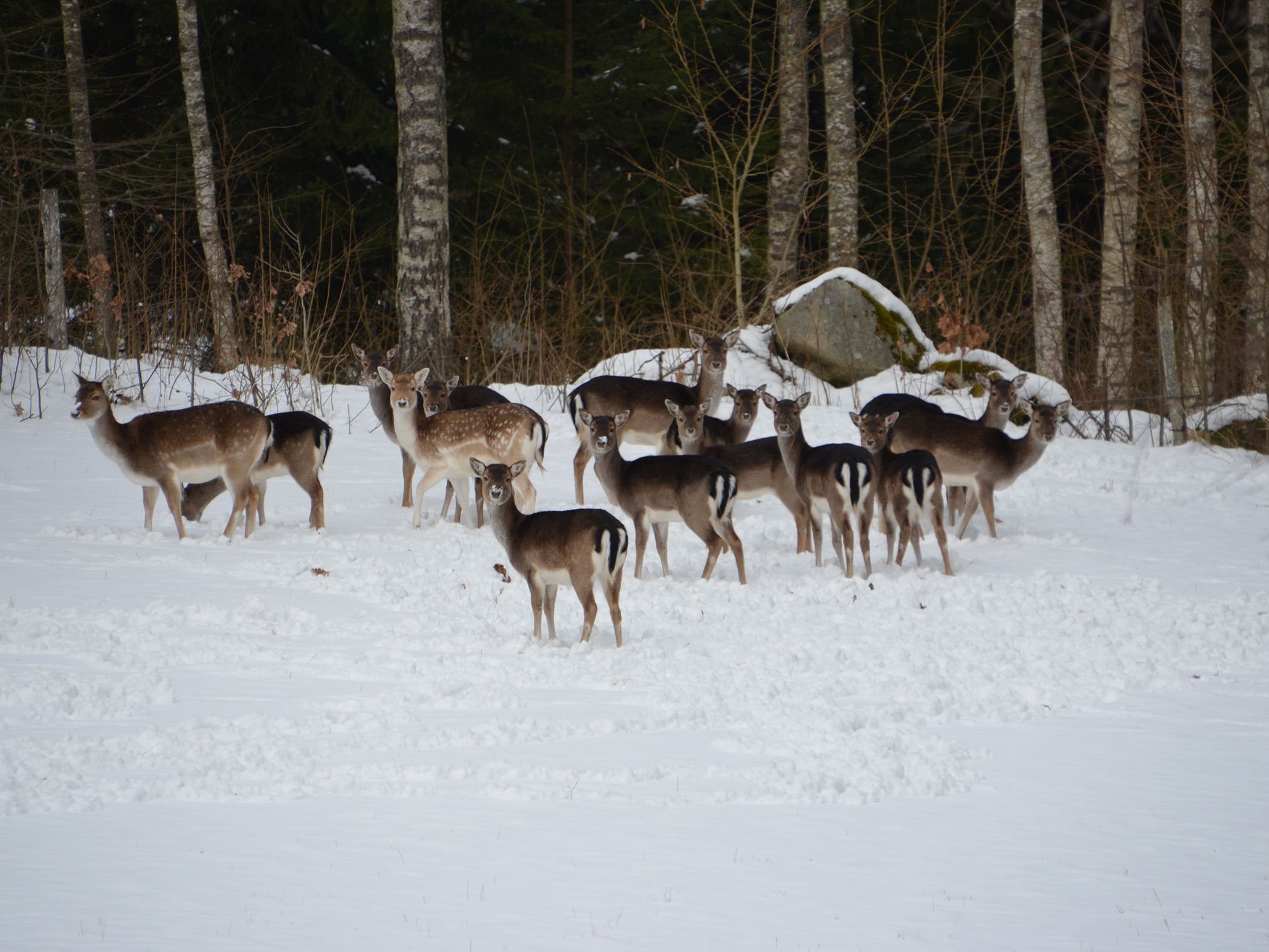 STF Södra Ljunga Vandrarhem