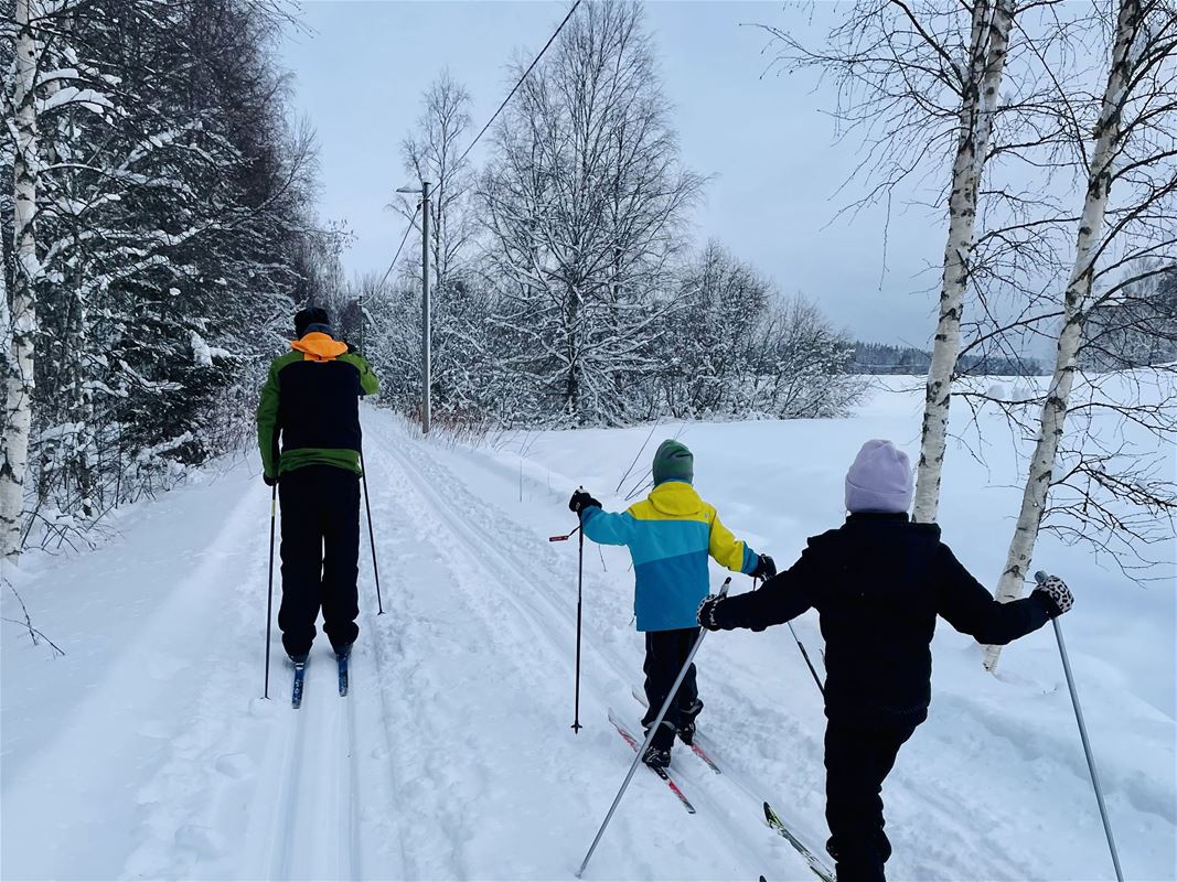 Tre personer åker skidor,