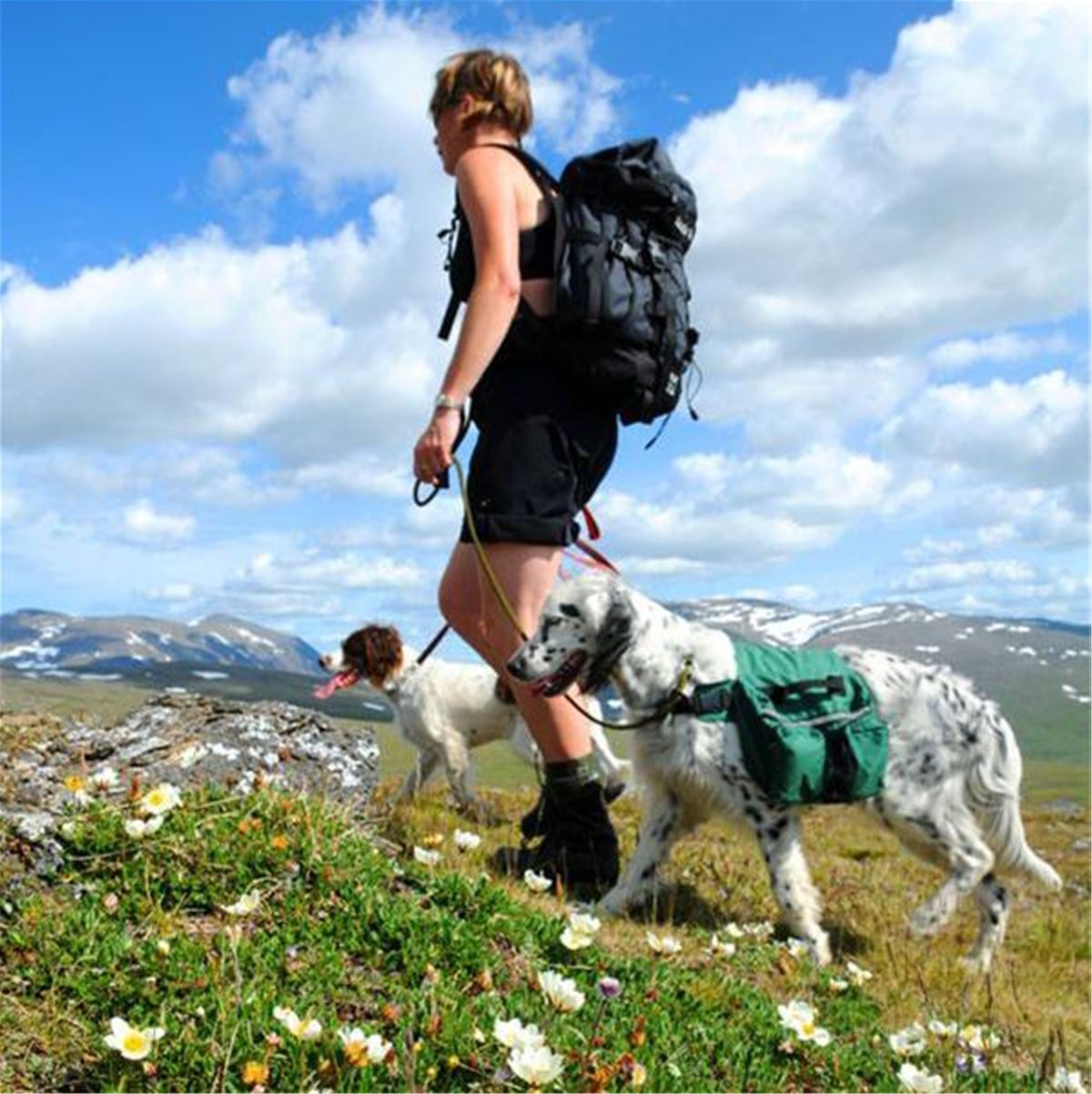 Björnbergsstigen image 1