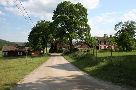 Vägen som leder fram till byn med röda hus och grönskande träd.