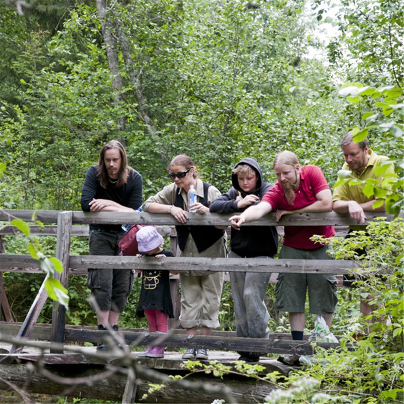 Visitors standing on a bridge looking down the creek.
