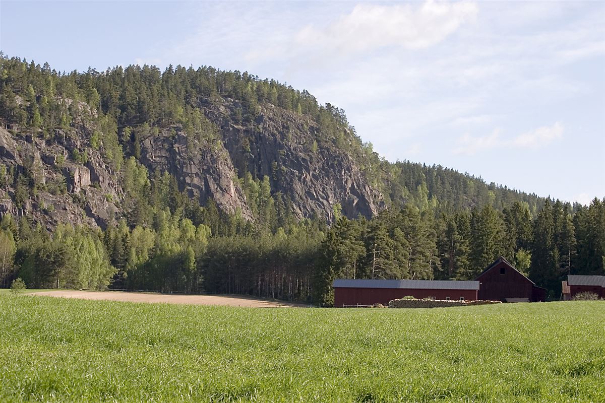 En klippa i bakrunden, framför klippan en grönyta och några byggnader.