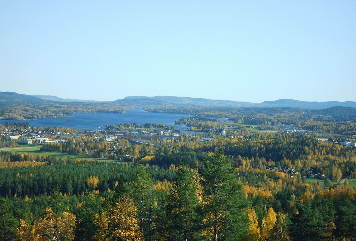 Stora & Lilla Bolleberget