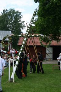 People lifting a maypole into place.